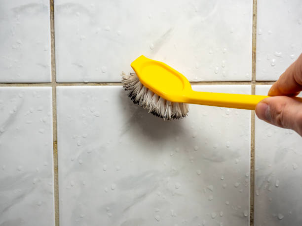 Best Toxic Mold Removal  in Chesterland, OH